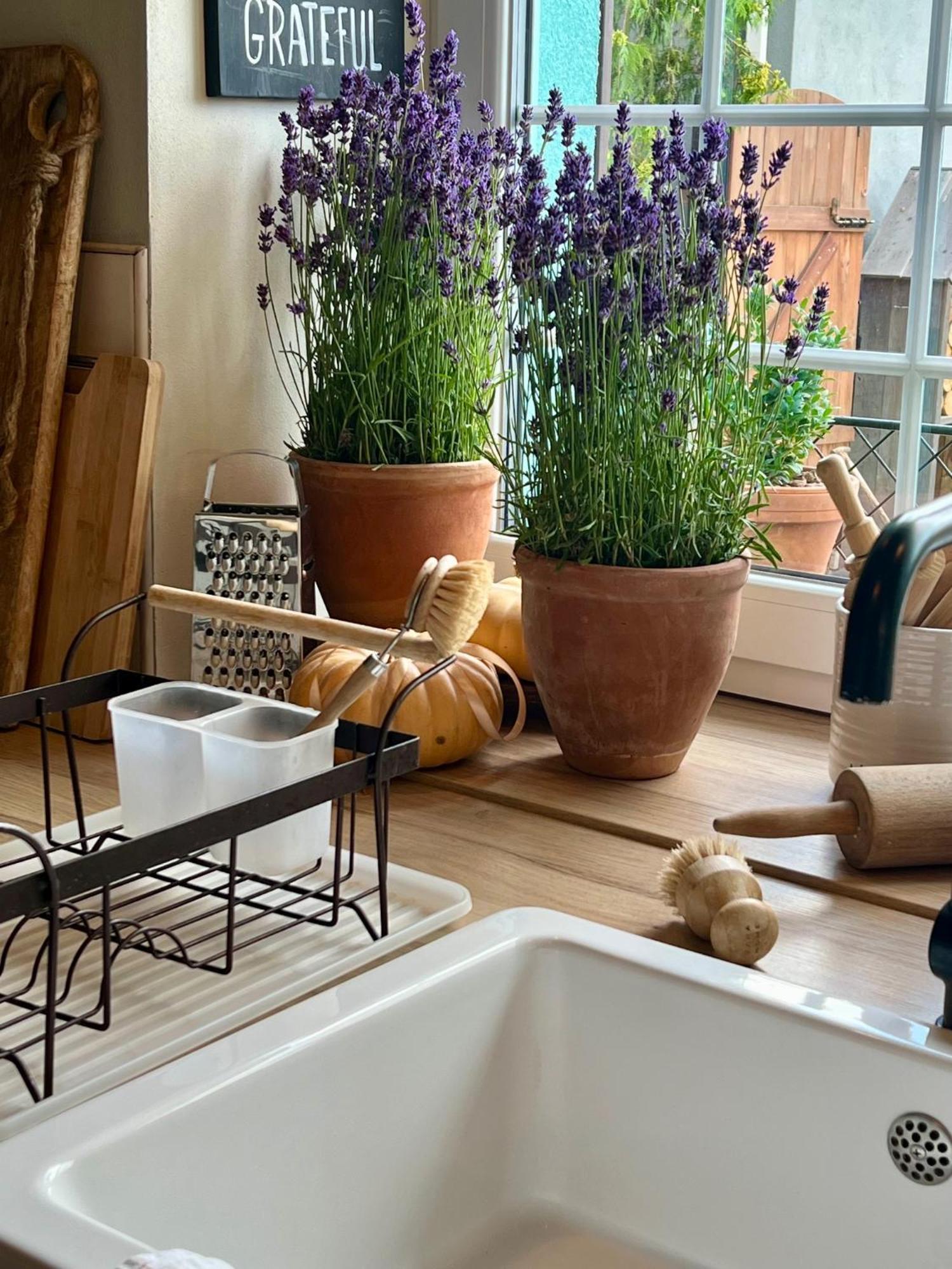 Orchardhouse Farmhouse, Wellness Chrast  Kültér fotó